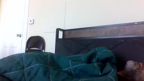 Snapshot of strictdaddy13 chatting on February 21, 2025, 2:38 pm strictdaddy13 online show from February 21, 2025, 2:38 pm