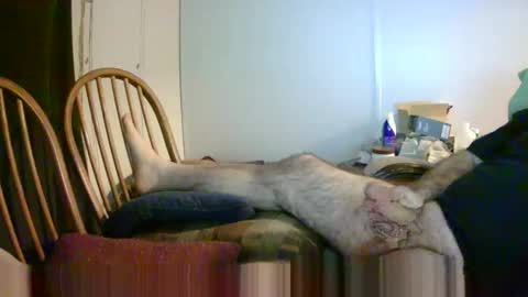 Snapshot of stugots42 chatting on January 14, 2025, 3:11 am stugots42 online show from January 14, 2025, 3:11 am
