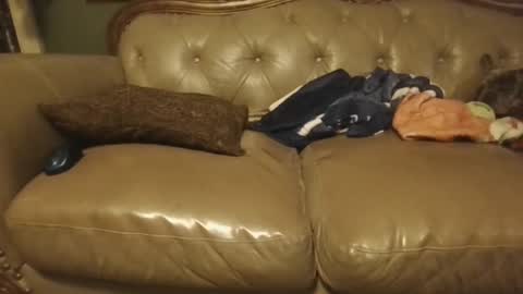 Snapshot of sub_michael41 chatting on January 21, 2025, 5:05 am sub_michael41 online show from January 21, 2025, 5:05 am