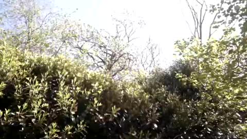 Snapshot of sucrette5629 chatting on April 25, 2026, 1:14 pm sucrette5629 online show from April 25, 2026, 1:14 pm