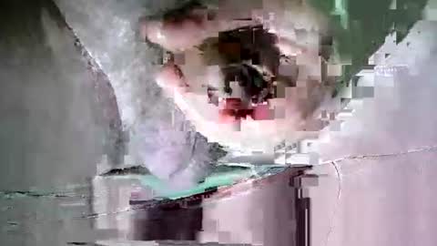 Snapshot of suesser0009 chatting on October 20, 2025, 11:38 pm Martin sweetboy online show from October 20, 2025, 11:38 pm