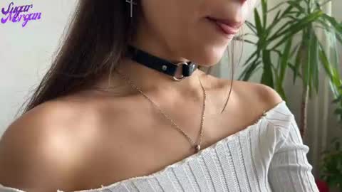 Snapshot of sugar_morgan chatting on June 23, 2026, 4:21 am Morgan online show from June 23, 2026, 4:21 am