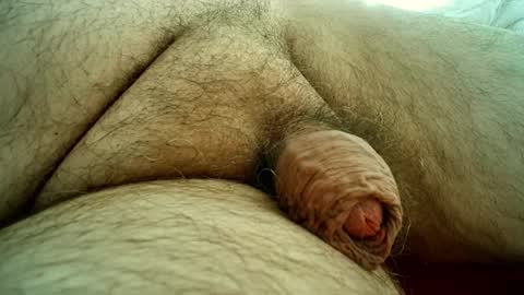 Samenspender online show from October 28, 2025, 1:47 pm