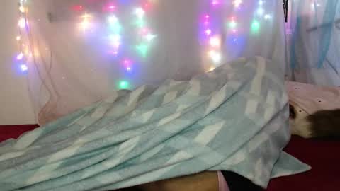 Snapshot of suley_fox chatting on March 4, 2026, 2:17 am zuley online show from March 4, 2026, 2:17 am