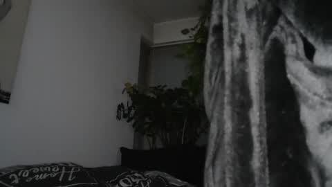 s online show from December 17, 2024, 7:59 pm