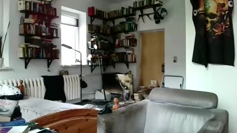 Snapshot of sunr1sa chatting on January 3, 2025, 10:41 am sunr1sa online show from January 3, 2025, 10:41 am