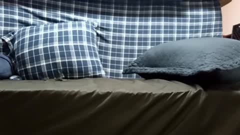 Super dave88 online show from September 28, 2025, 10:53 am