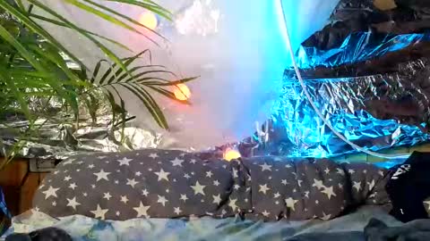 Snapshot of super_jony chatting on October 9, 2025, 9:51 am super jony and Marta GMT 1300-1800 every day online show from October 9, 2025, 9:51 am