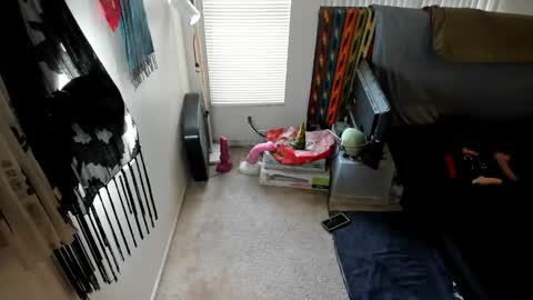 Snapshot of supervagtastic chatting on December 28, 2024, 11:16 pm Supervagtastic online show from December 28, 2024, 11:16 pm