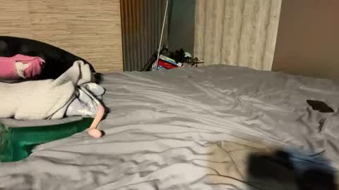 Stony online show from January 8, 2026, 7:16 pm