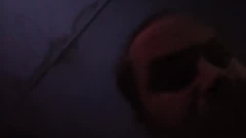 sloth online show from February 20, 2026, 11:43 am