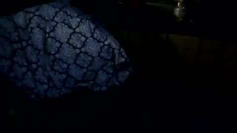 sloth online show from February 27, 2026, 9:31 am