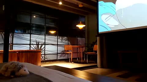 Snapshot of svenseries chatting on February 19, 2025, 4:44 am svenseries online show from February 19, 2025, 4:44 am