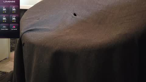 sweaty_hairy_cocks online show from June 6, 2026, 6:07 am
