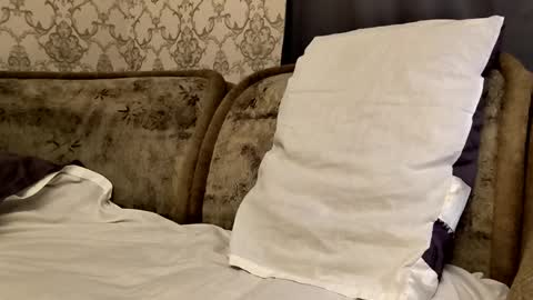 Sweet boy online show from September 23, 2025, 11:41 pm