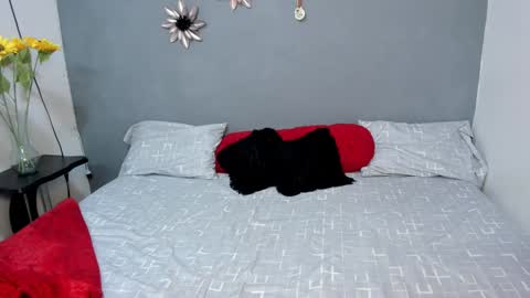 Sweet Amanda95 online show from December 3, 2024, 12:16 pm