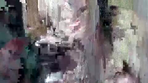 Snapshot of sweet_chel chatting on May 9, 2026, 2:39 am sweet_chel online show from May 9, 2026, 2:39 am