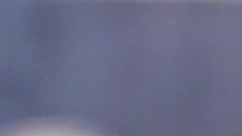 Catalina online show from December 31, 2024, 6:16 am