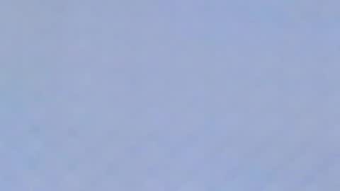 Catalina online show from February 1, 2025, 11:06 pm