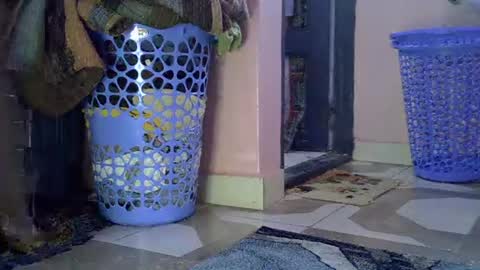 Lisa online show from February 1, 2026, 8:13 am