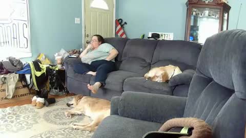 DJ  M 489 Babygirl  F 37 online show from February 6, 2025, 4:03 pm