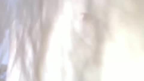 sweetdam12 online show from December 30, 2024, 11:28 pm