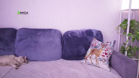 Vicktorious online show from February 24, 2025, 8:17 am