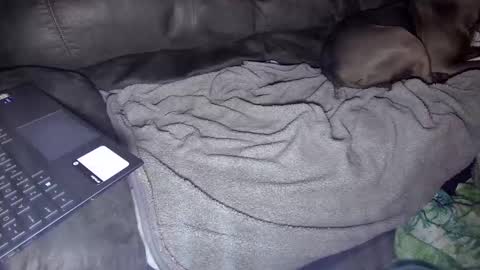 Snapshot of sweetgesus chatting on January 5, 2025, 3:53 am sweetgesus online show from January 5, 2025, 3:53 am