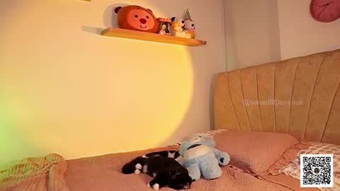 Venus online show from March 17, 2026, 7:17 pm