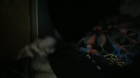 sweetpussylicks online show from December 29, 2024, 8:55 am