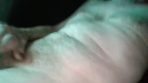 sweetpussylicks online show from February 17, 2025, 3:04 am