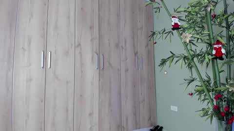    online show from December 21, 2024, 11:02 pm