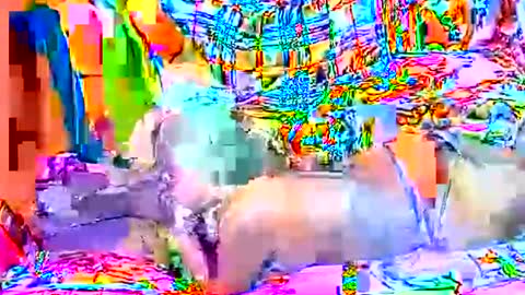 Sweetyummygirl online show from September 22, 2025, 8:33 pm