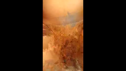 swiri123 online show from February 28, 2026, 11:11 am