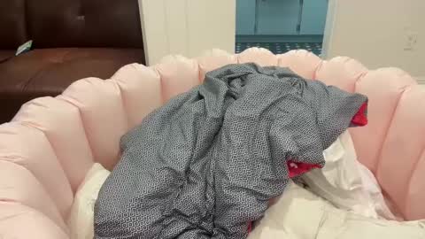 switchinjay online show from September 11, 2025, 9:09 am