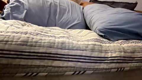 tRex online show from November 5, 2025, 12:43 am