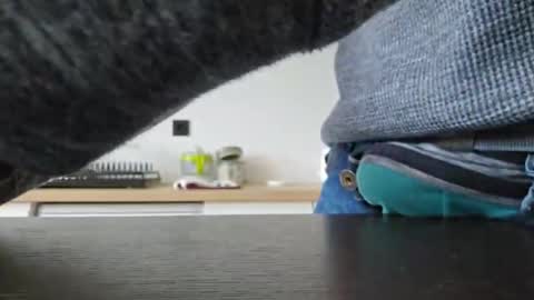 taconatatox online show from December 2, 2024, 1:35 pm