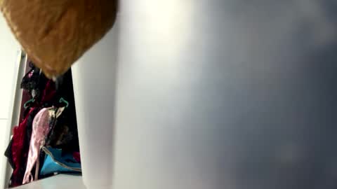 tali  online show from October 25, 2025, 6:35 pm