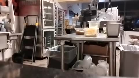 Snapshot of talldrink62 chatting on September 10, 2025, 2:44 am The Man of Steel online show from September 10, 2025, 2:44 am