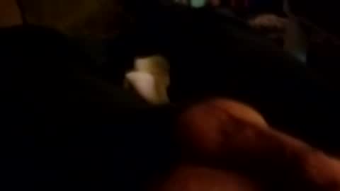 Snapshot of talldrink62 chatting on October 26, 2025, 10:43 am The Man of Steel online show from October 26, 2025, 10:43 am