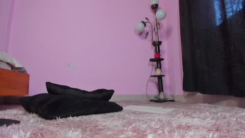 TAMARA  online show from January 23, 2025, 3:22 pm