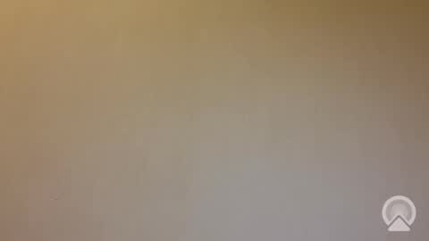 tanelure online show from September 25, 2025, 5:49 pm