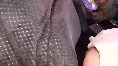 Jean pool online show from December 17, 2025, 3:45 am