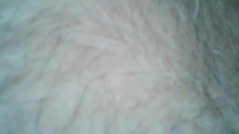 Snapshot of tattzsexy chatting on December 21, 2025, 10:28 pm tattzsexy online show from December 21, 2025, 10:28 pm