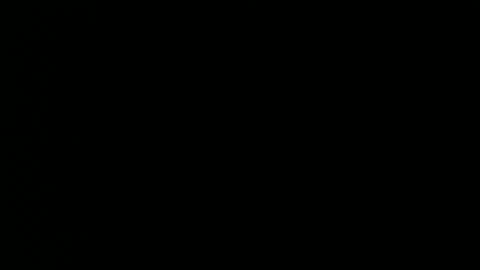 taylorsguy online show from May 8, 2026, 2:39 am