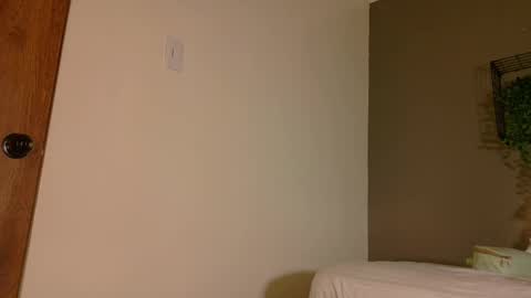 TAYLOR  online show from November 10, 2025, 11:42 am