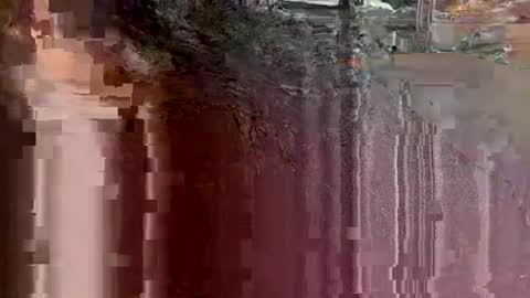 tbaexox online show from September 18, 2025, 3:41 am