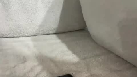 tbaexox online show from November 16, 2025, 6:19 am