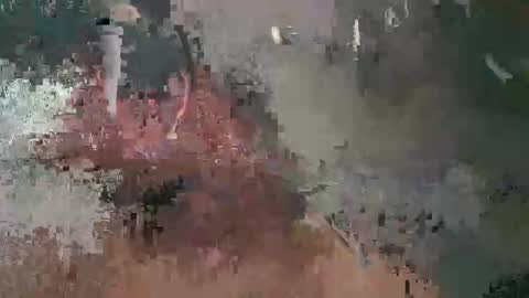 Luis online show from February 17, 2025, 7:15 am