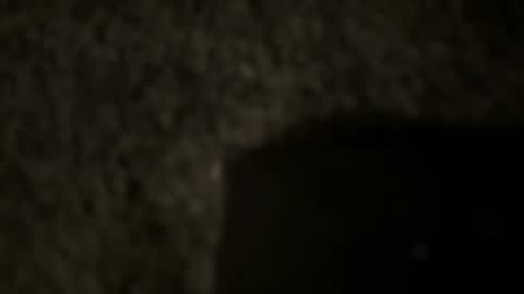 td 78 online show from January 12, 2025, 4:31 am